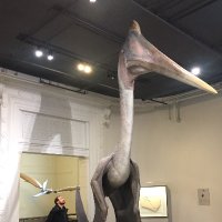 Jef Vizentin-Bugoni (@jbugoni) 's Twitter Profile