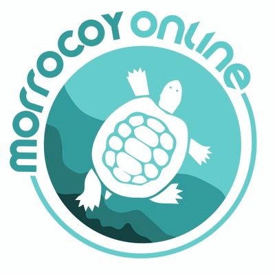 morrocoyonline Profile Picture