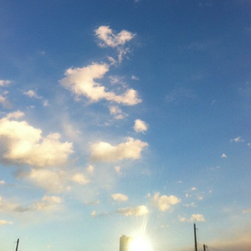 ciaociao118's profile picture. 