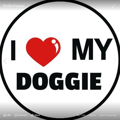 Pet supply owner online offering an assortment of dog products. Enjoy looking at all the fun and loveable things dogs give us unconditionally like their love.