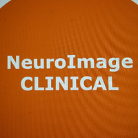 Editorial team - Neuroimage Clinical(@eic_nic) 's Twitter Profile Photo