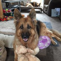 Sharon Murrant (@sharonm_67) 's Twitter Profile Photo Sharon Murrant (@sharonm_67) 's Twitter Profile Photo