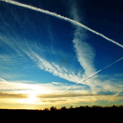 Betz1947's profile picture. 