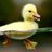 DRRMCD's profile image