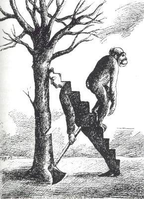 LadyLi777's profile picture. Homo sapiens en la gran casa del mundo. Graduada en Historia por la UAM y amante de la Literatura, el Cine y los primates.