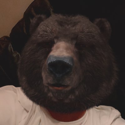 joe_bear4's profile picture. 