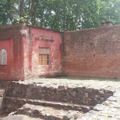 dosydoson6's profile picture. 