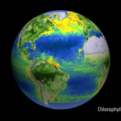 Gardens4Future's profile picture. Forum for #gardendesign, build and trade professionals to discuss a ‘new normal’- a sustainable way forward 🌍 #climateenemergency Tweets by @annabutterfgdns