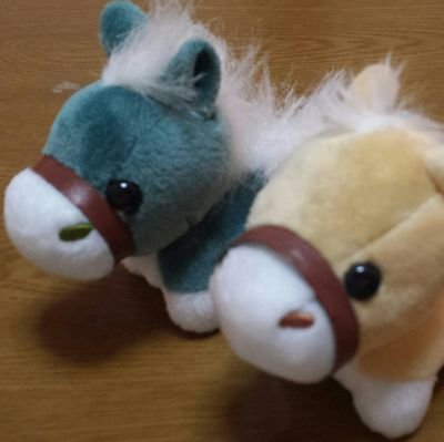 懸賞と競馬をやってます☺全然当たらないけどいつか帯を取りたいです😄佐賀競馬にたまに行きます😲