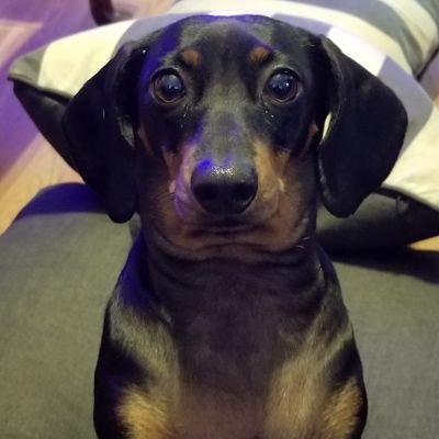 Taylor79345764's profile picture. most unlucky ☘ person you've ever meet but takes it in stride... just pass the blunt!