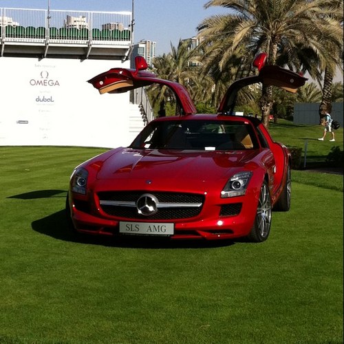 bigcaddie's profile picture. 