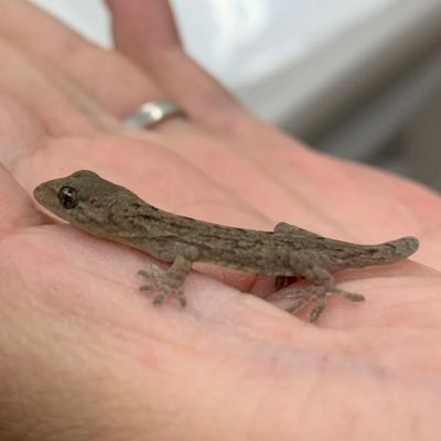 KEYTOM0319's profile picture. 