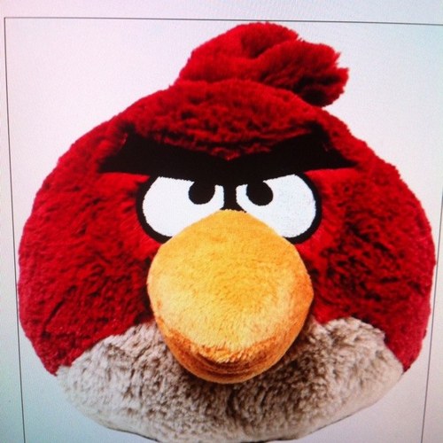 DarinEvans's profile picture. 