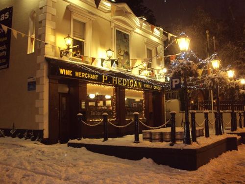 The Brian Boru Profile