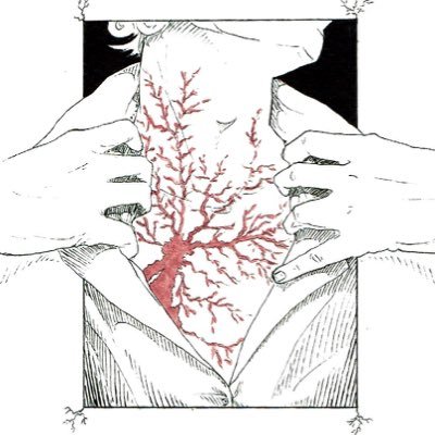 exaltiorae's profile picture. avatar of the vast • he/him • fairchild family member 
(pfp by vagueandseeminglydeep on tumblr)