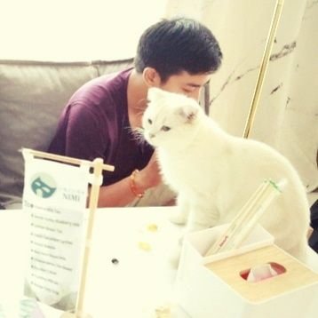 mechvil's profile picture. e=mc^2