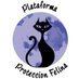 plataformaproteccionfelina (@plataformaprot1) Twitter profile photo plataformaproteccionfelina (@plataformaprot1) Twitter profile photo