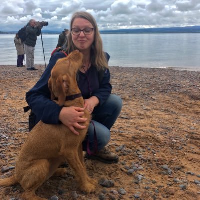 wulfruna247's profile picture. Batty, run a bit - love a muddy trail, my wirehaired vizsla, family, cheese...