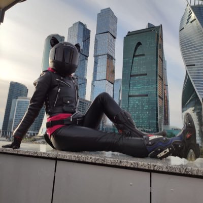 Mio_Moto_Meow's profile picture. Ветер свободы все время сдувает меня в строну пляжных баров 😎