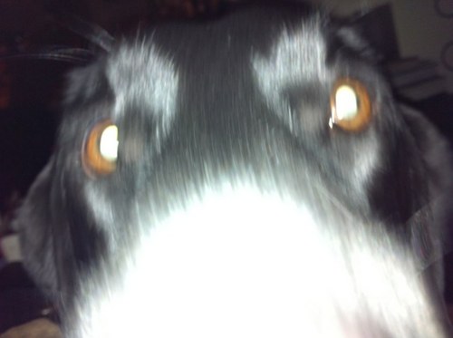 Kristinbwd's profile picture. Mom of kids and a fur pup, wife, career driven, small town kid, focused on improving lives of others-