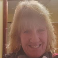 Tracy Sanford - @TracySa31197434 Twitter Profile Photo