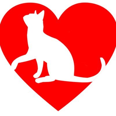 Based in Darlington, we rehome cats rescued by the RSPCA in the North East of England. Admin by RSPCA Darlington Branch. Reg Charity no. 232264