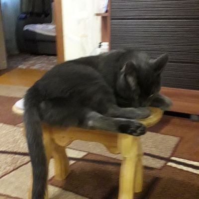 1977oxchep2811's profile picture. 