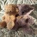 Sid, Sophie & Bryn, Hatfield Hug, #mithythe (@sidrescue) Twitter profile photo Sid, Sophie & Bryn, Hatfield Hug, #mithythe (@sidrescue) Twitter profile photo