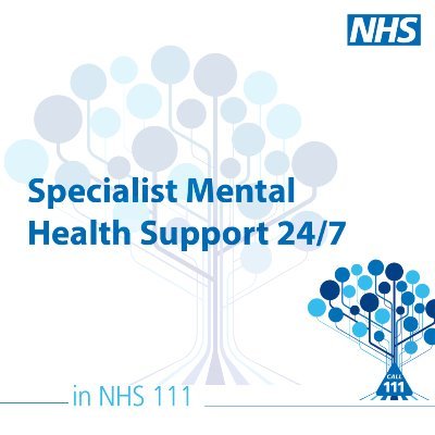 NHS 111 Mental Health Team providing a specialist service across the Hampshire area, 24 hours a day, 7 days a week.