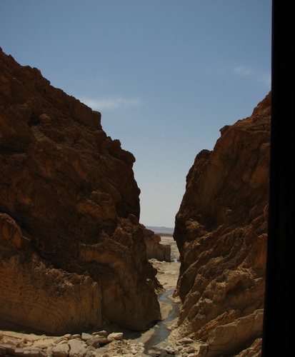 UnseenBase's profile picture. Young Rudiger I do---what I feel like!