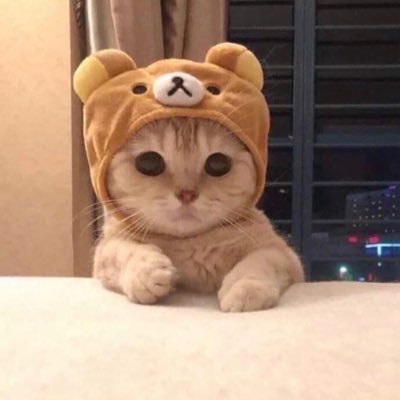 ZHRIWJnSpcvC8MN's profile picture. 生産性のないツイート