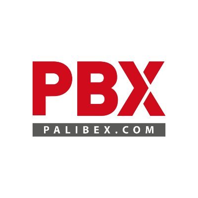 Palibex Profile Picture