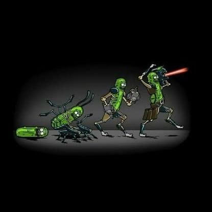 dvkrts's profile picture. 