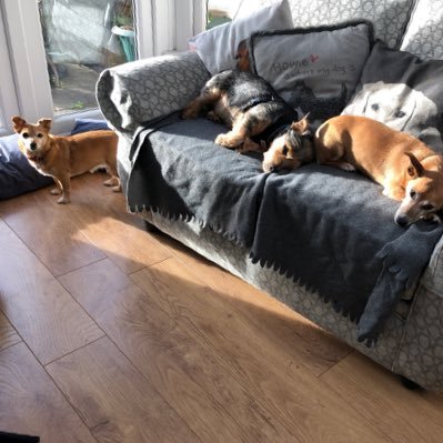 Merton43905548's profile picture. I’m wonderful