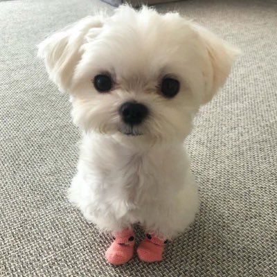 magasuie's profile picture. 