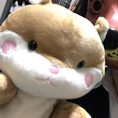 森野クマさんのプロフィール画像