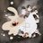 Ellise_Ellise's profile image