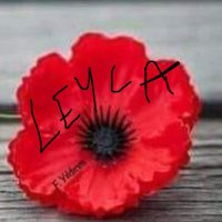 Sezar Leyla 45. 36 yaşlarında (@leylasezar) Twitter profile photo