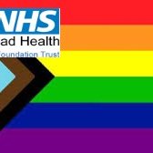 Gateshead NHS Trust LGBT+ Staff Network(@ghntlgbt) 's Twitter Profile Photo