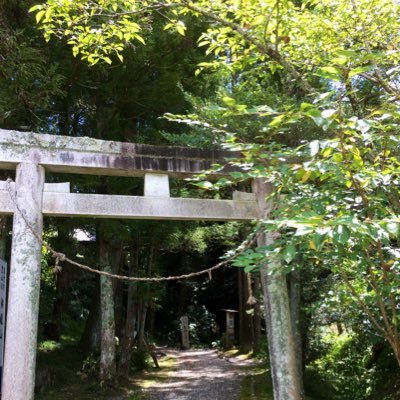 ゆみずのはかさんのプロフィール画像