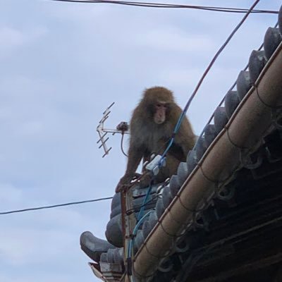 Box49416385Box's profile picture. 