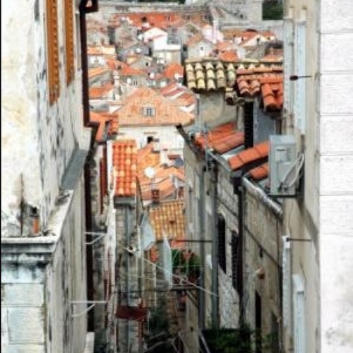 ey_choi's profile picture. 