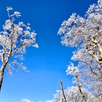 hilty's profile picture. 