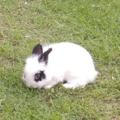 1YIKgKxRI1HTnJL's profile picture. 정의는 반드시 온다...다만 천천히 늦게 올 뿐이다.