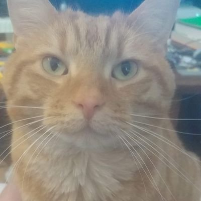 LfServant5's profile picture. My name is LFServant5. For the past 30 years, I have been a gamer. Now with my friends we have become someone else, something else. We are The Unlikely Trio.