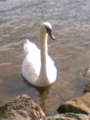 jane73r's profile picture. 