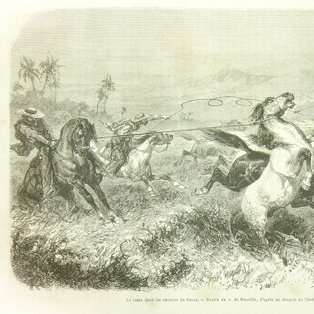 primito100's profile picture. Médico.