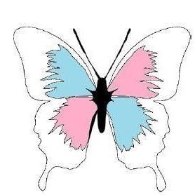 Organisation Trans d’Haiti Faire la promotion des droits des personnes TRANS en Haïti