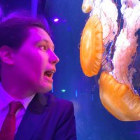 Haroen Viaene (@haroenv) 's Twitter Profile