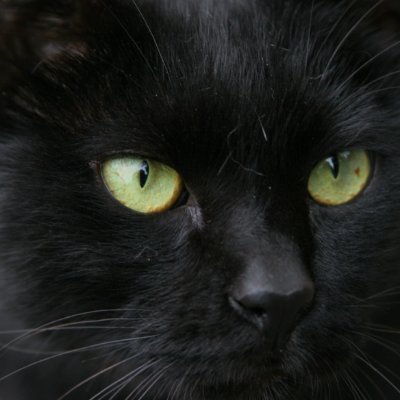 pecopoco0318's profile picture. 